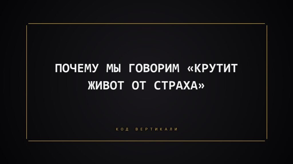 Почему мы говорим «крутит живот от страха»: тело, которое сжимается раньше мыслей